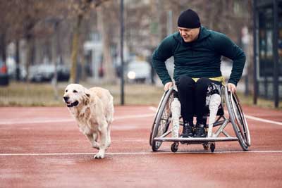Perros de Asistencia: Compañeros Vitales