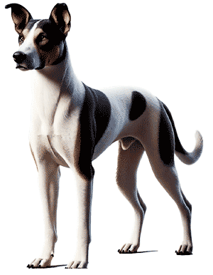 Eurohound: La Raza Híbrida Ideal para el Mushing