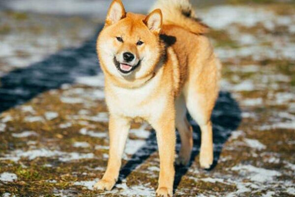 Hokkaido