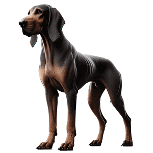 Limer Hound: El Sabueso Extinto Especializado en la Caza de Presas Mayores